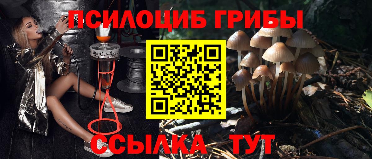 Галлюциногенные грибы MAGIC MUSHROOMS Горно-Алтайск