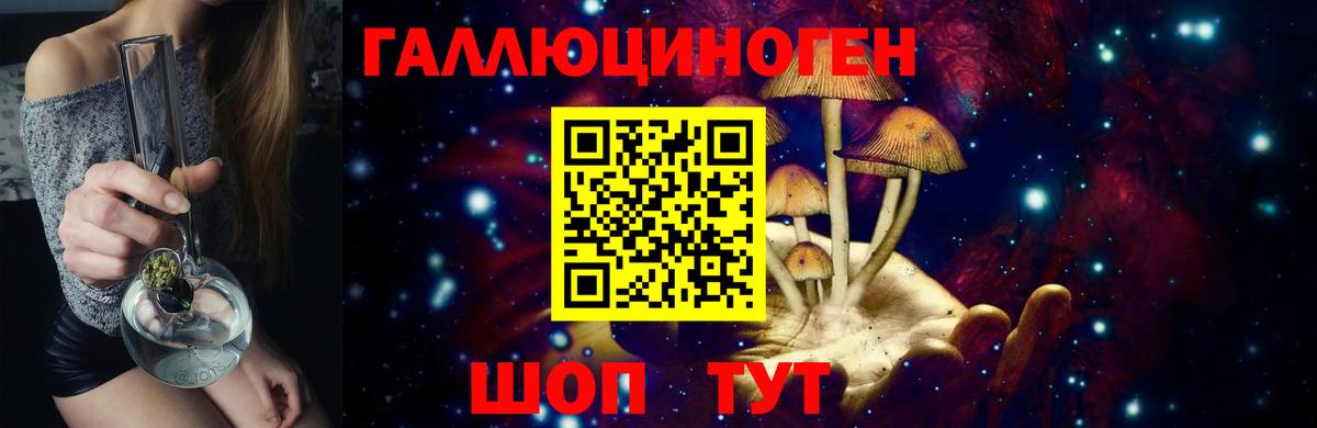 Горно-Алтайск  хочу   Вход с VPN  Галлюциногенные грибы прущие грибы 