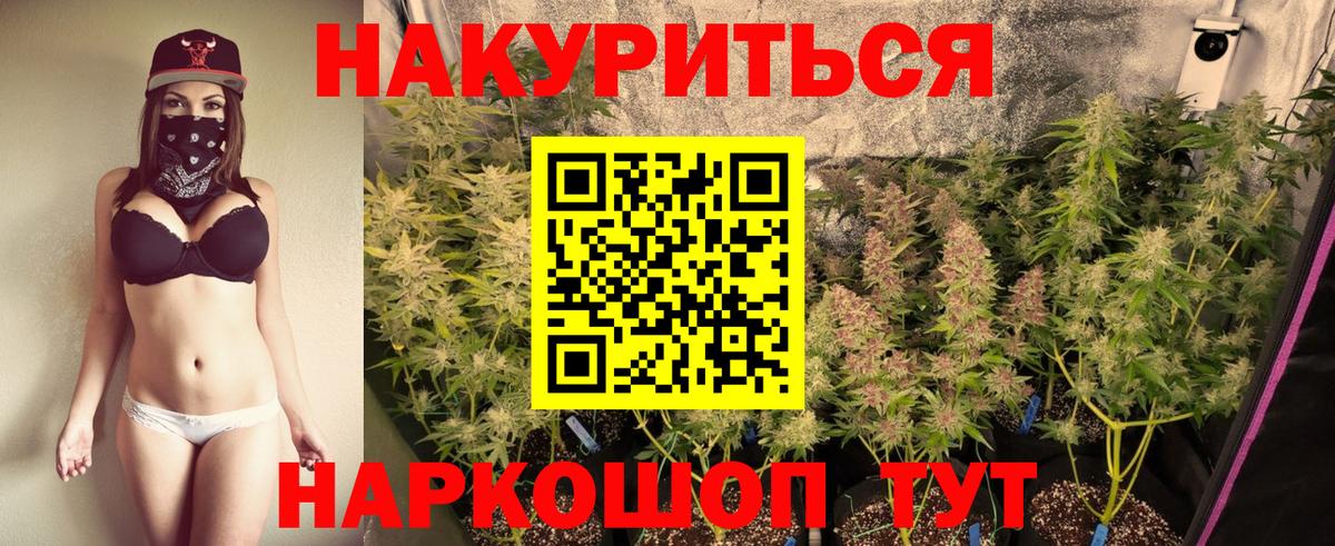 Бошки марихуана THC 21%  Вход с VPN  МАРИХУАНА индика  Каннабис гибрид  Горно-Алтайск 